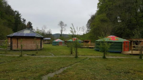 Glan Mydyr Woodland Yurts